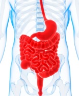 Malattia di Crohn, parere positivo Chmp a prima terapia con staminali allogeniche